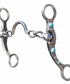 Turquoise Dot Low Port Chain Bit